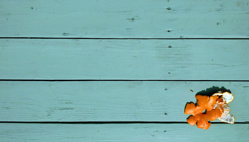 Orange peel on cyan blue picnic table with space for text or logo