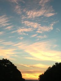 Low angle view of silhouette trees against sky