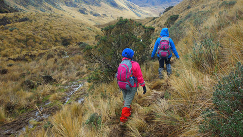 Tourists walking in the cayambe coca national park - ecuador