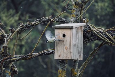 High angle view of bird on wooden post