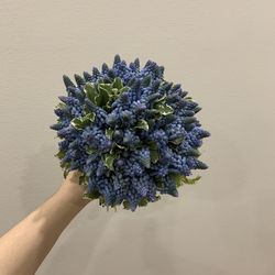 Close-up of hand holding purple flowering plant