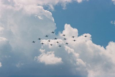 Low angle view of birds flying against sky