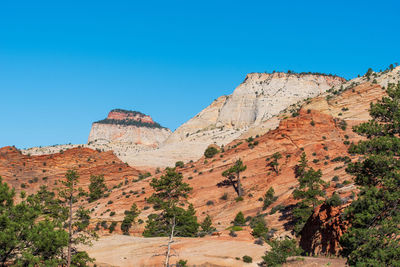 Zion national park low angle landscape of orange and white stone hillsides at checkerboard mesa