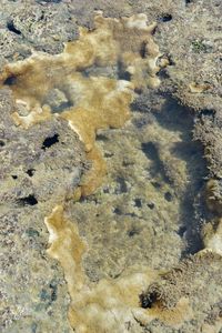 Rocks in sea