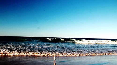 Scenic view of beach against blue sky