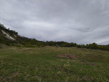 Scenic view of field against sky