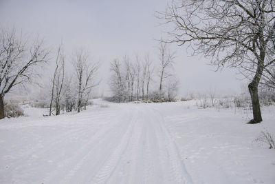 Snow covered landscape