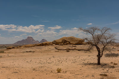 View from the little spitzkoppe to the spitzkoppe, namibia