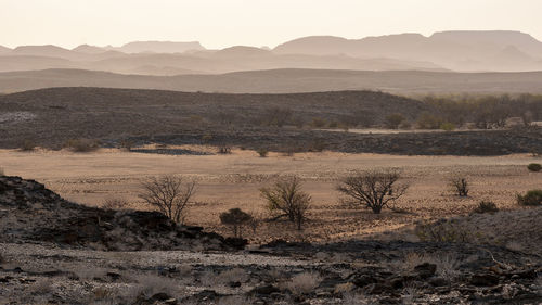 Hilly and arid landscape of the namibian desert at sunrise