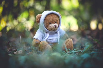 Close-up of teddy bear on field