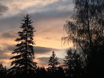 Silhouette trees against sky during sunset