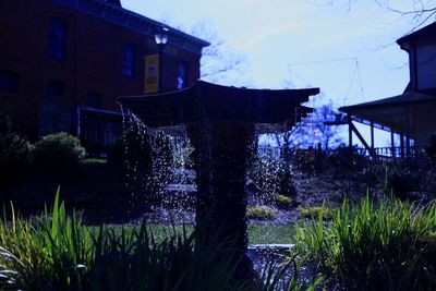 Built structure with plants in foreground