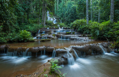 Scenic view of waterfall in forest