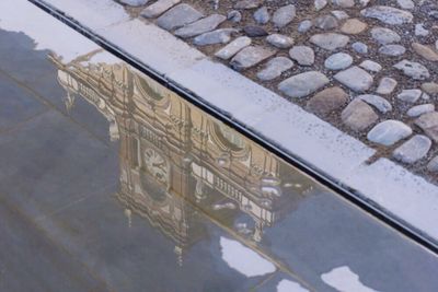 Reflection of trees in water