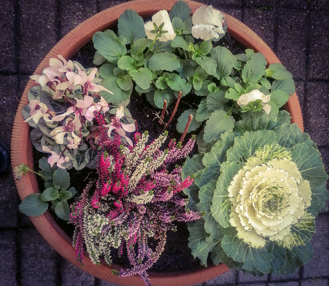 HIGH ANGLE VIEW OF FLOWER POT ON PLANT