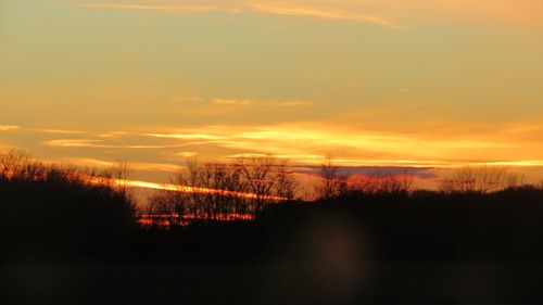 Silhouette trees against sky during sunset