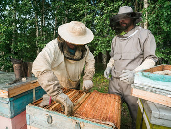 Rear view of man working at farm