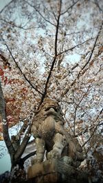 Low angle view of bare tree