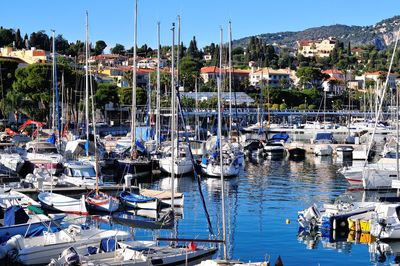 Boats moored at harbor