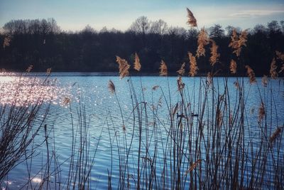 Scenic view of lake against sky