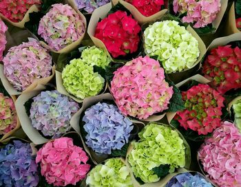 High angle view of multi colored flowers for sale in market