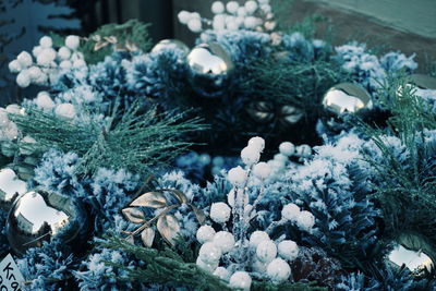 Close-up of christmas tree in snow