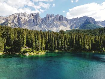 Scenic view of pine trees by lake against sky