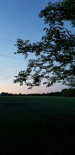 Tree on field against clear sky