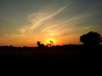 Silhouette of trees on landscape at sunset