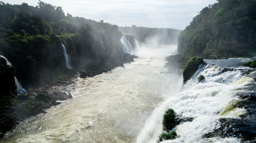 Scenic view of waterfall in forest