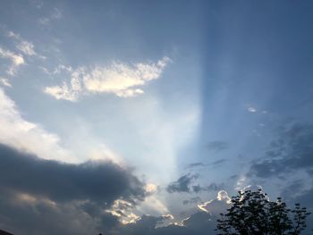 Low angle view of tree against sky