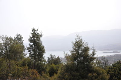 Scenic view of trees and mountains against clear sky