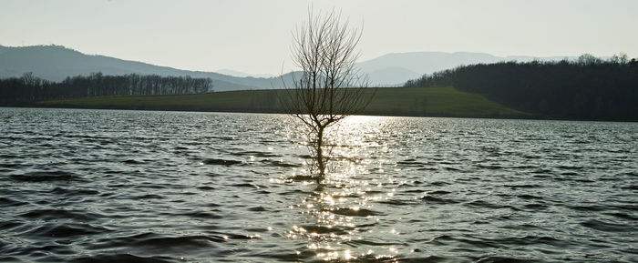 Scenic view of lake against clear sky