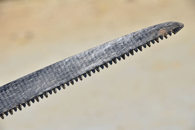 Close-up of saw blade against wall