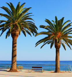 Palm trees against clear blue sky