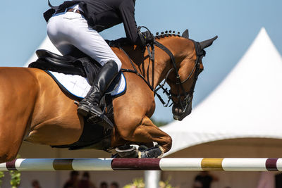 Man riding horse