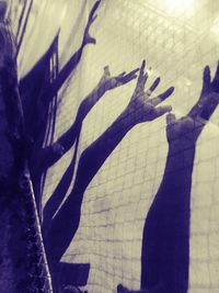 shadow