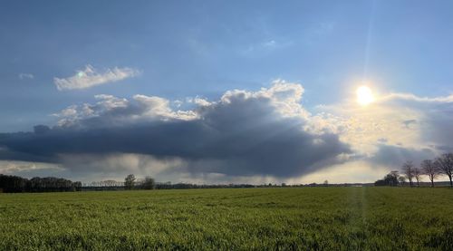 Scenic view of agricultural field against sky