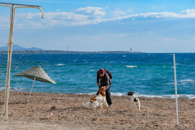 Dog on beach against sky in anatolia