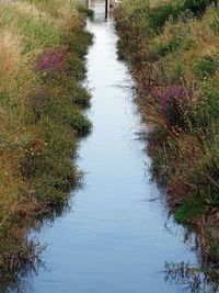 Scenic view of river