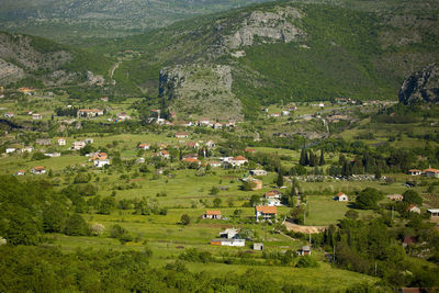 Scenic view of field and houses in village