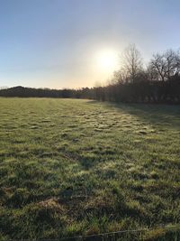 Scenic view of field against sky during sunset