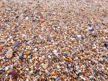 Full frame shot of pebbles on beach