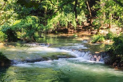 Scenic view of waterfall in forest