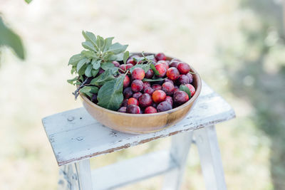 Close-up of fruits growing in container