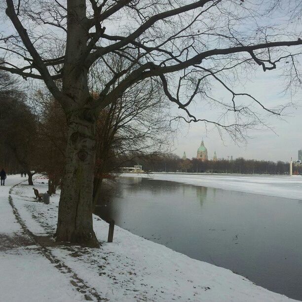 tree, snow, winter, bare tree, cold temperature, tranquility, tranquil scene, season, branch, nature, water, tree trunk, beauty in nature, weather, scenics, lake, sky, landscape, frozen, outdoors