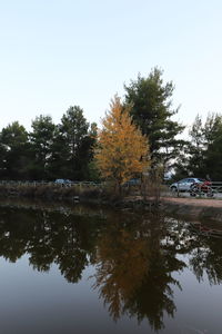 Reflection of trees in lake against sky