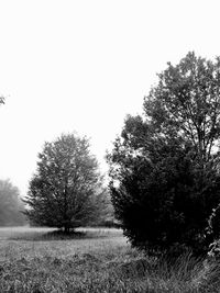 Trees on field against clear sky