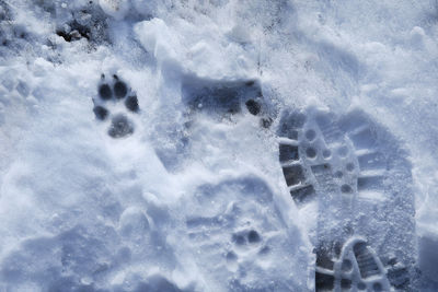 Close-up of snow on field