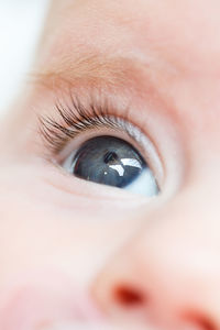 Extreme close-up of human eye